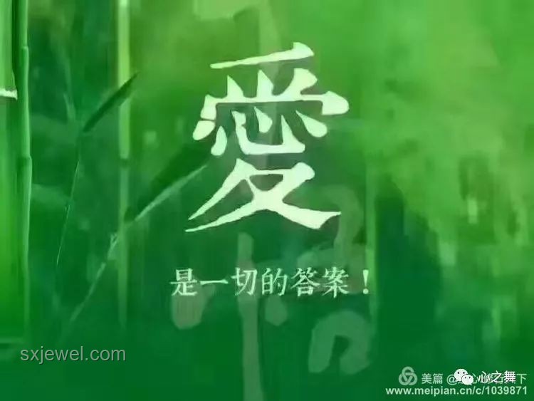 特朗普式宽容：如何理解并应用“可以原谅马斯克”的智慧